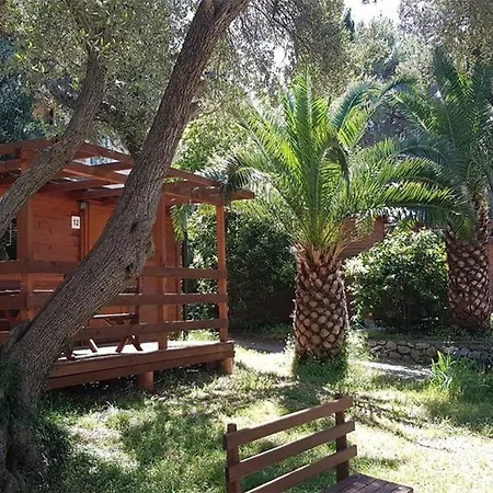 Dalmacija *
